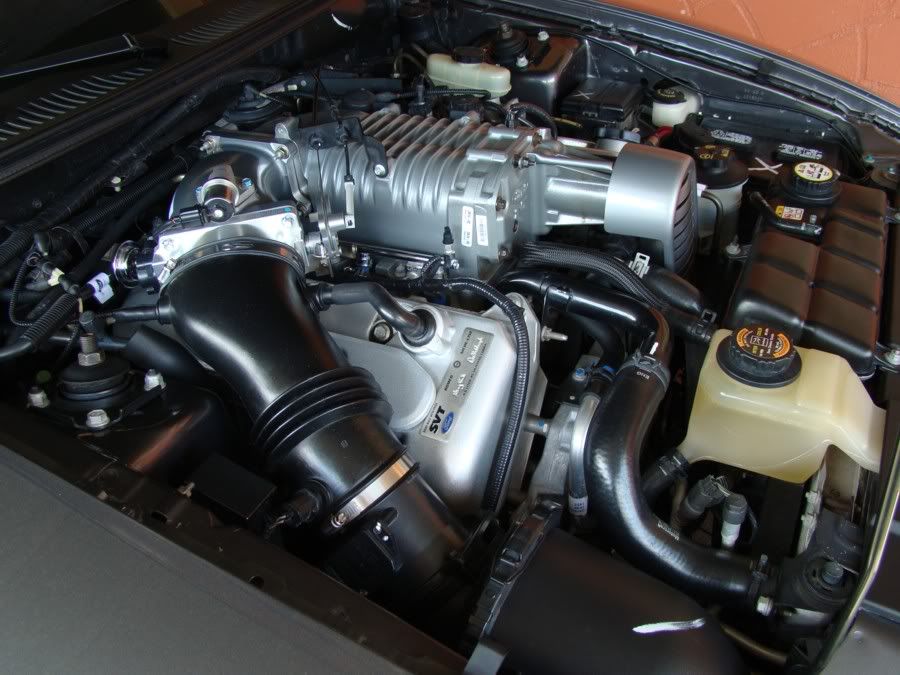 XDSC04885.jpg