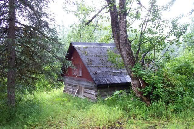 Petersville8-4-07004.jpg