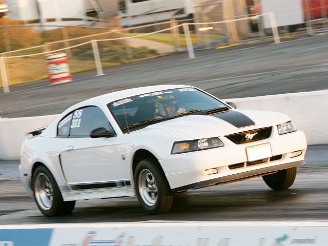 www.mustangandfords.com