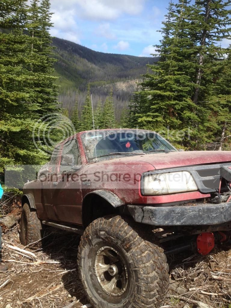 hockeyryans ranger build