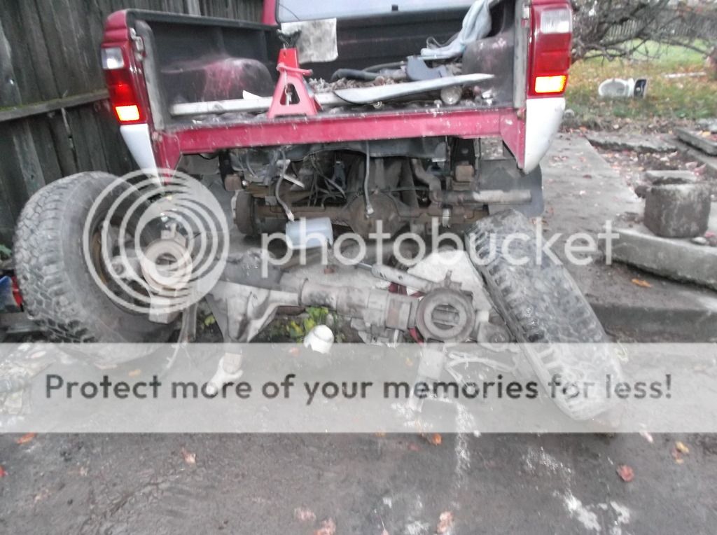 DSCF0157_zpszx1ojc8h.jpg