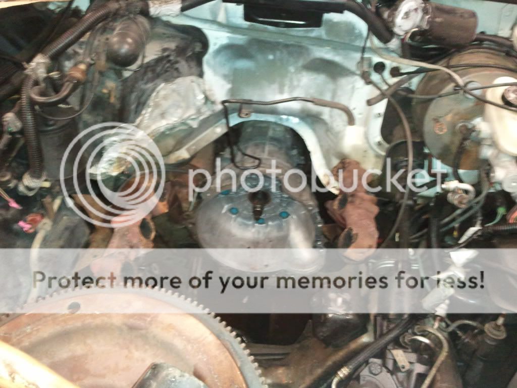 2011-06-06214912.jpg