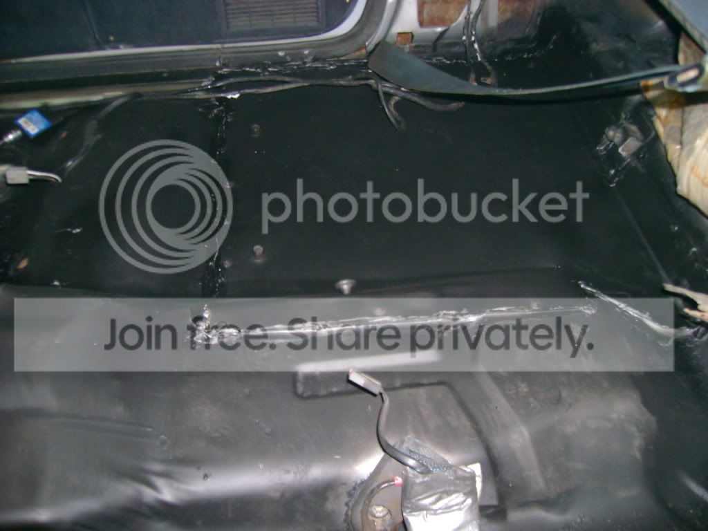 In like a lamb out like a lion!