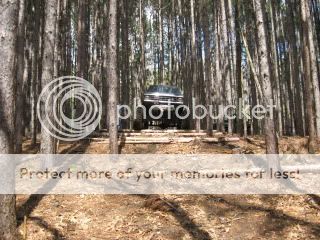 IMG_4085.jpg