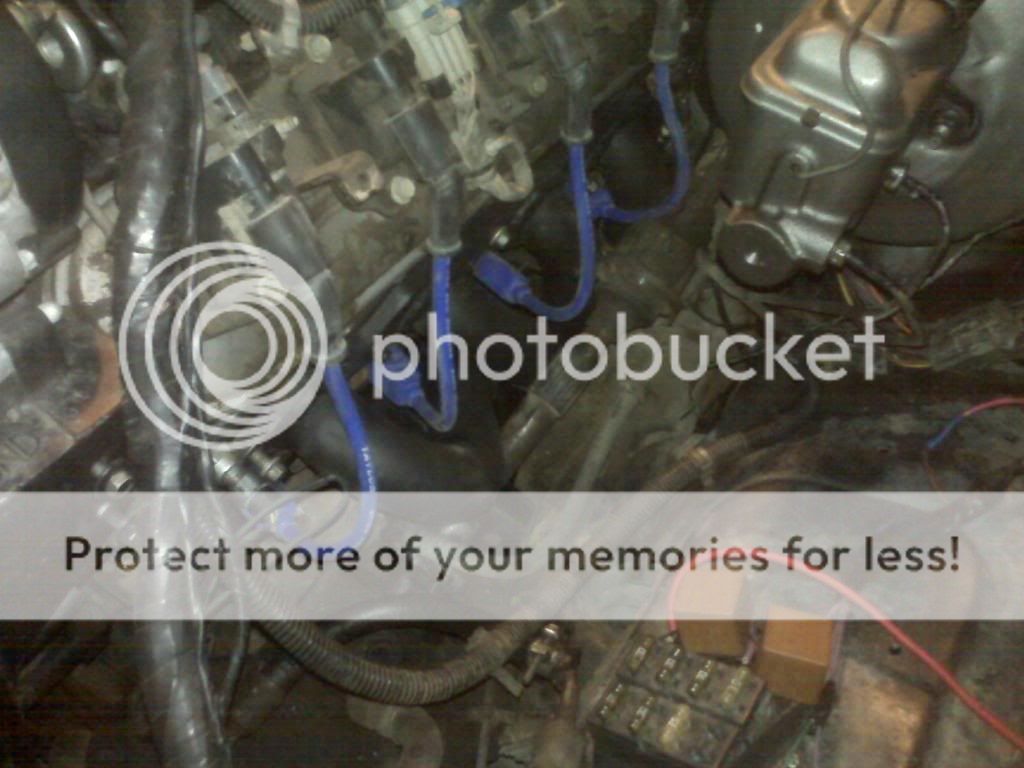 IMG00241.jpg