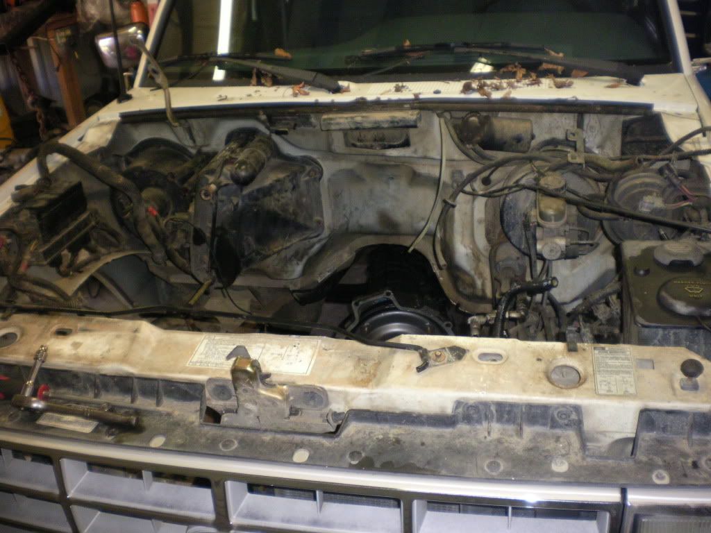 SANY0500.jpg
