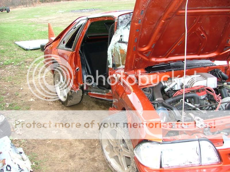mustang041.jpg
