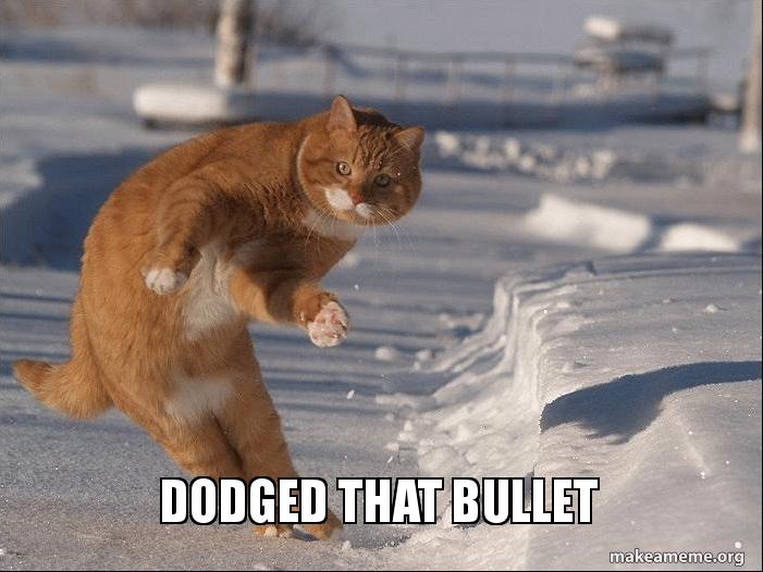 dodged-that-bullet-5b00ce.jpg