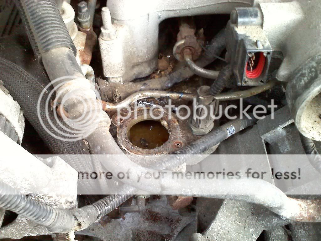 20110108083816.jpg