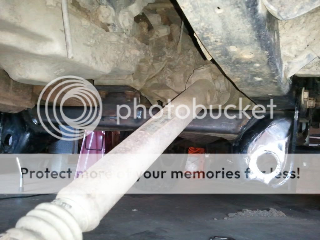 2011-07-16191535.jpg