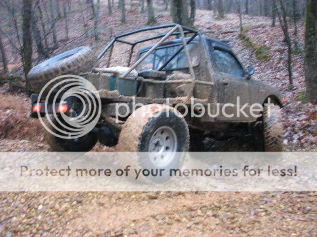 IMG_1981.jpg