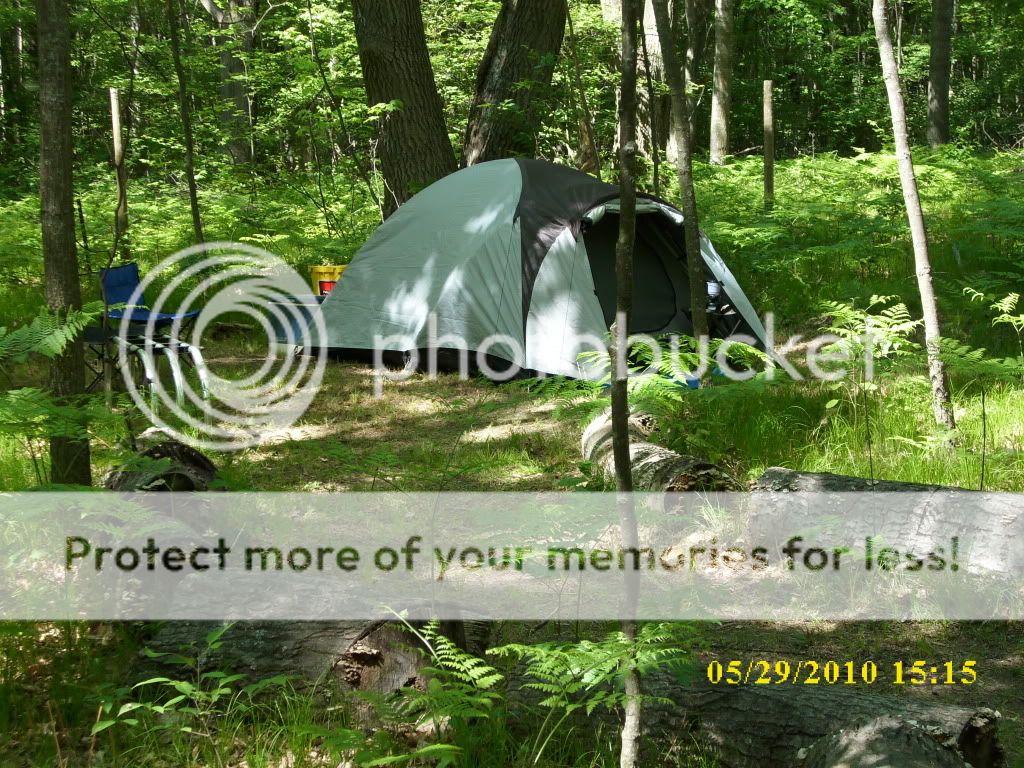 DSCI0019.jpg