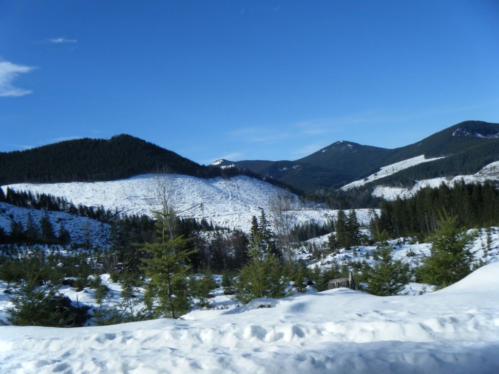 DSCF3142.jpg