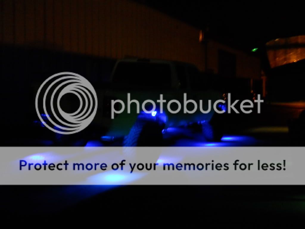 lights018.jpg