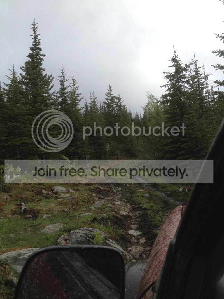 hockeyryans ranger build