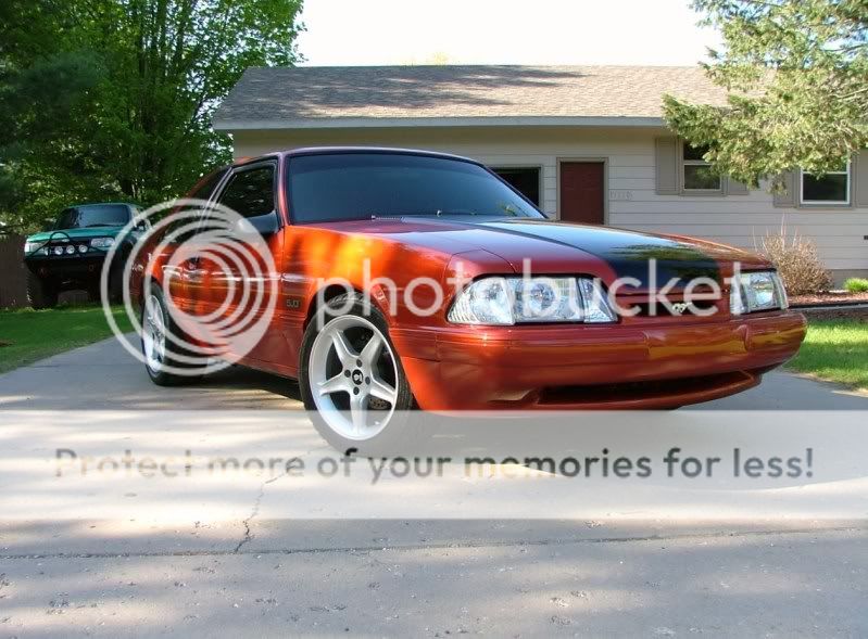 stangpictures020.jpg