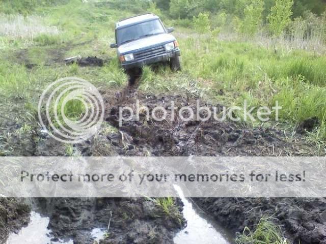 lr1.jpg