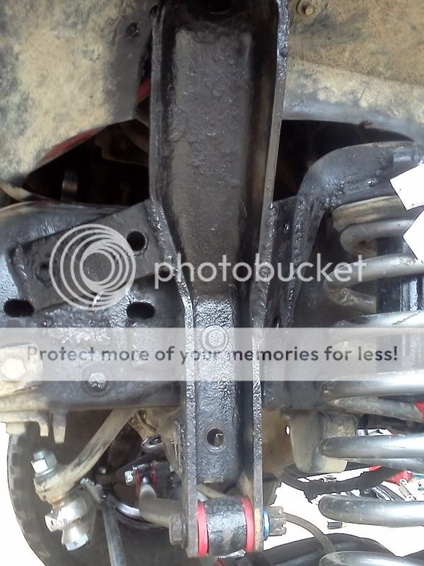 IMG_20120123_114603.jpg