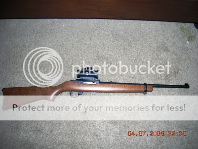 Ruger10-22.jpg