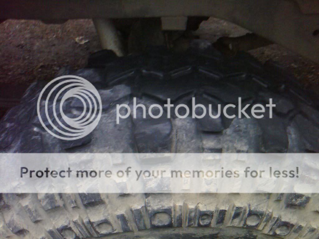 2011-02-24174759.jpg