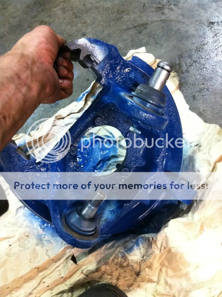 photo2-4.jpg