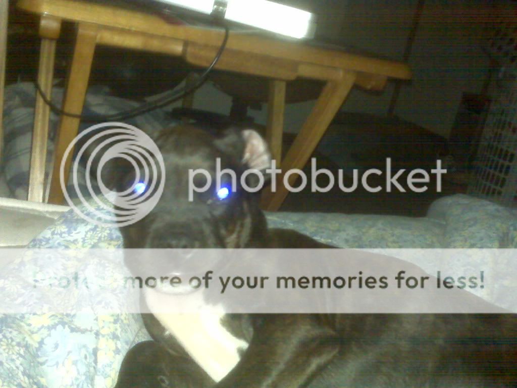 IMG00139.jpg