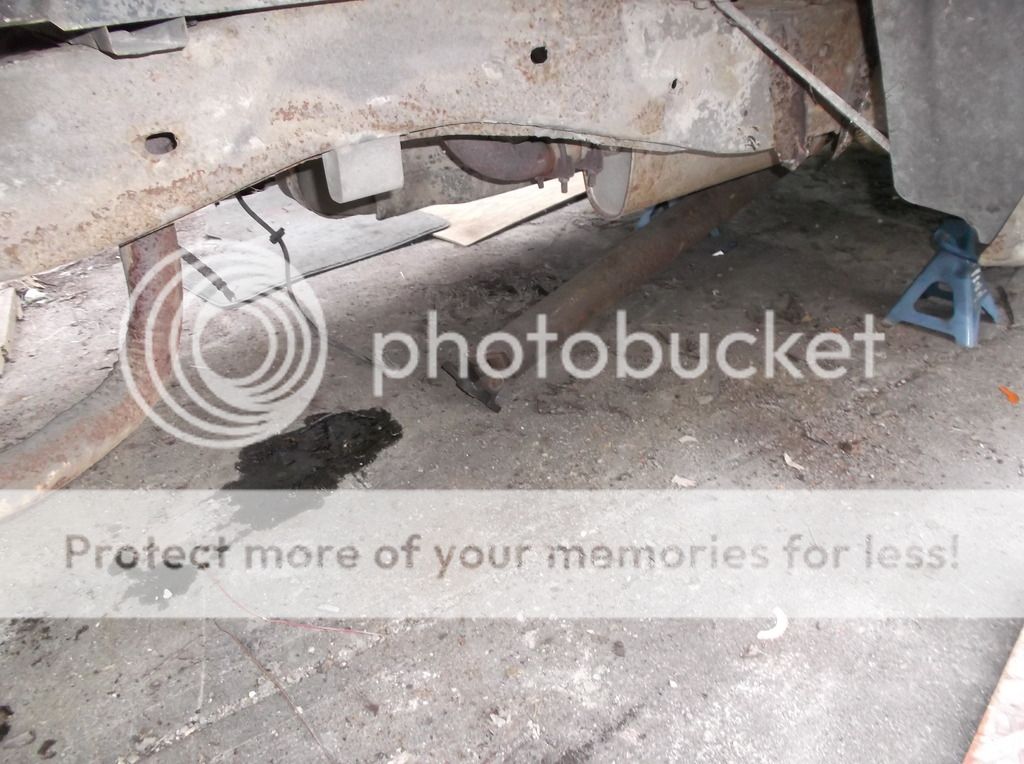 DSCF0113_zpsr1sul5bc.jpg