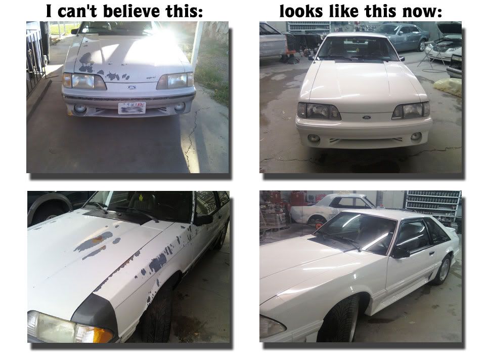 Stang-Before-and-after.jpg