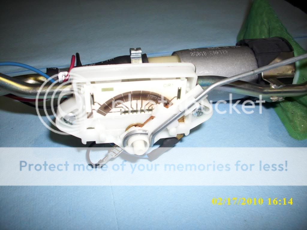 DSCI0157.jpg