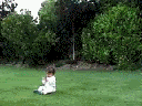 Funny Gifs