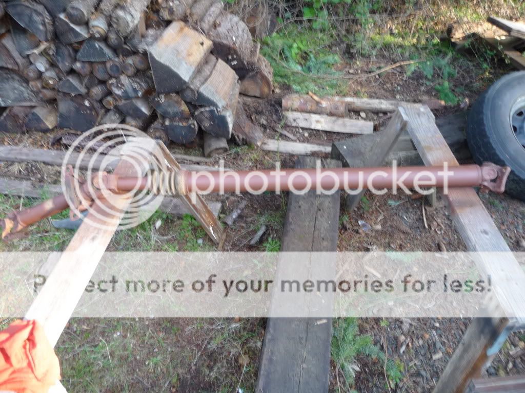 ShanePics2010-ishpart21092.jpg
