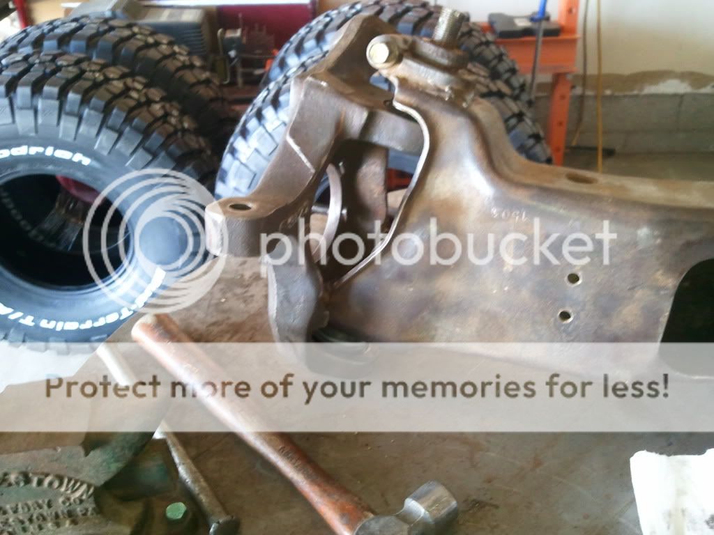 2011-02-13124245.jpg