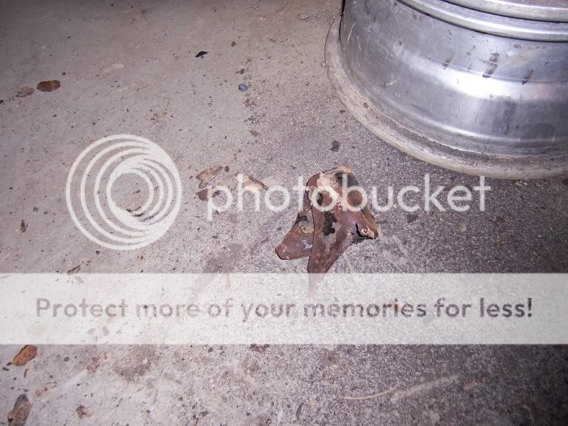 bodymounts009.jpg