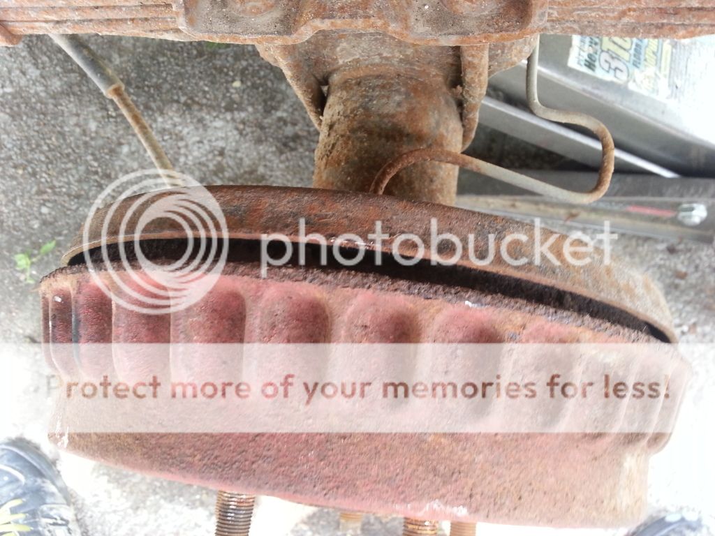 20130528_135407_zps9d45561d.jpg
