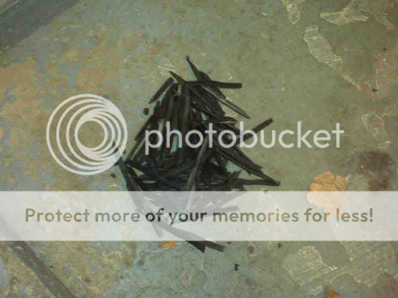 IMG00110.jpg