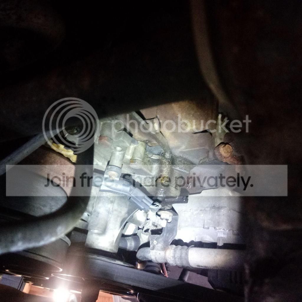 Case of the Coolant - Timing Chain Cover & Oil Pan