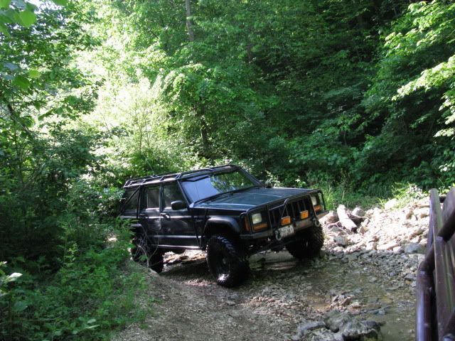IMG_0350.jpg