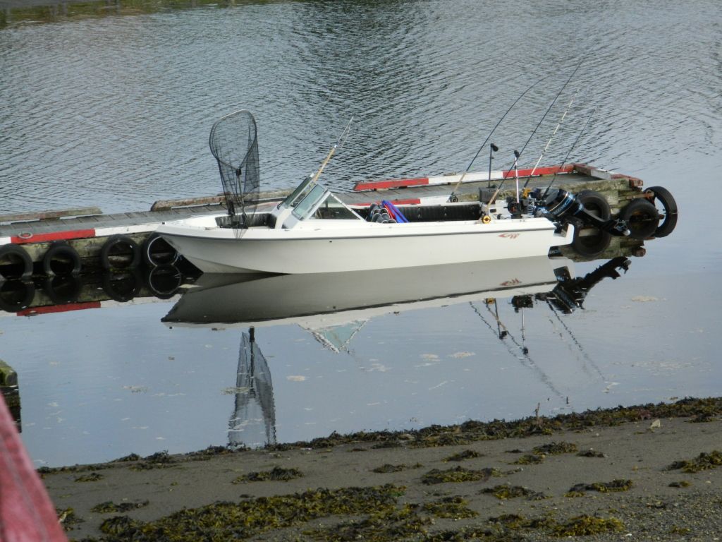 fishescott012.jpg