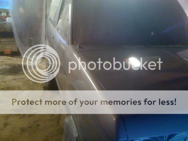 In like a lamb out like a lion!