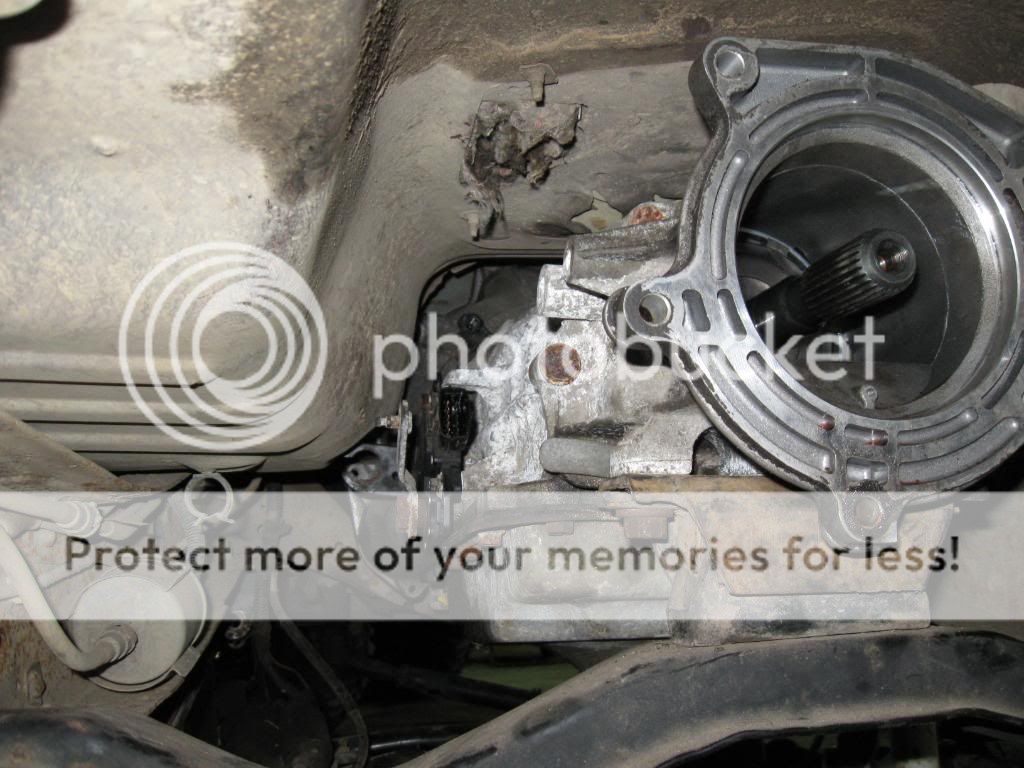 IMG_0832.jpg