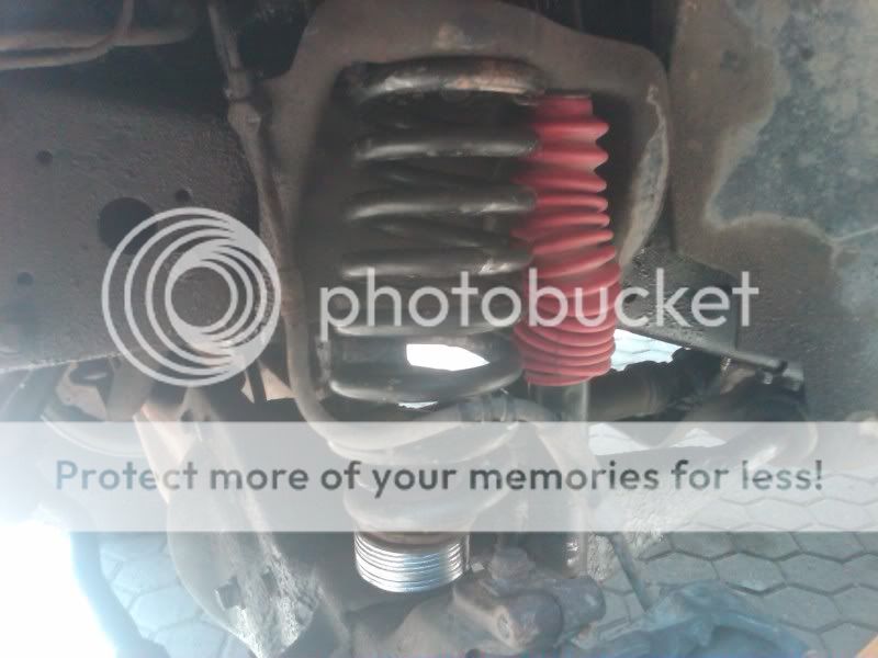 IMG00791-20110410-1354.jpg