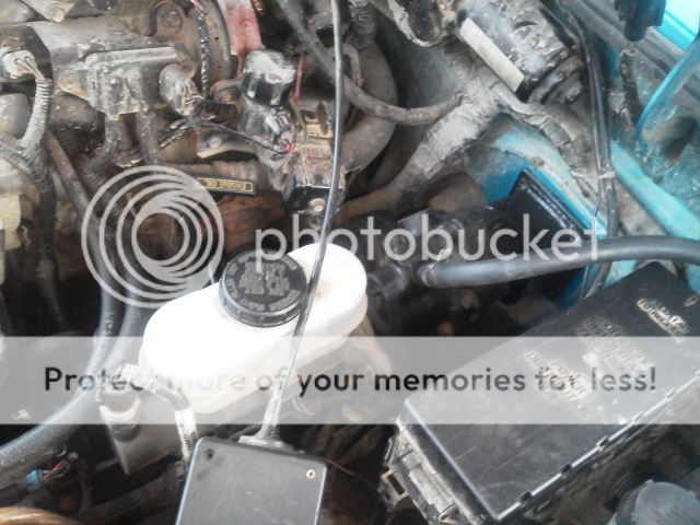 IMG_20121127_164442.jpg