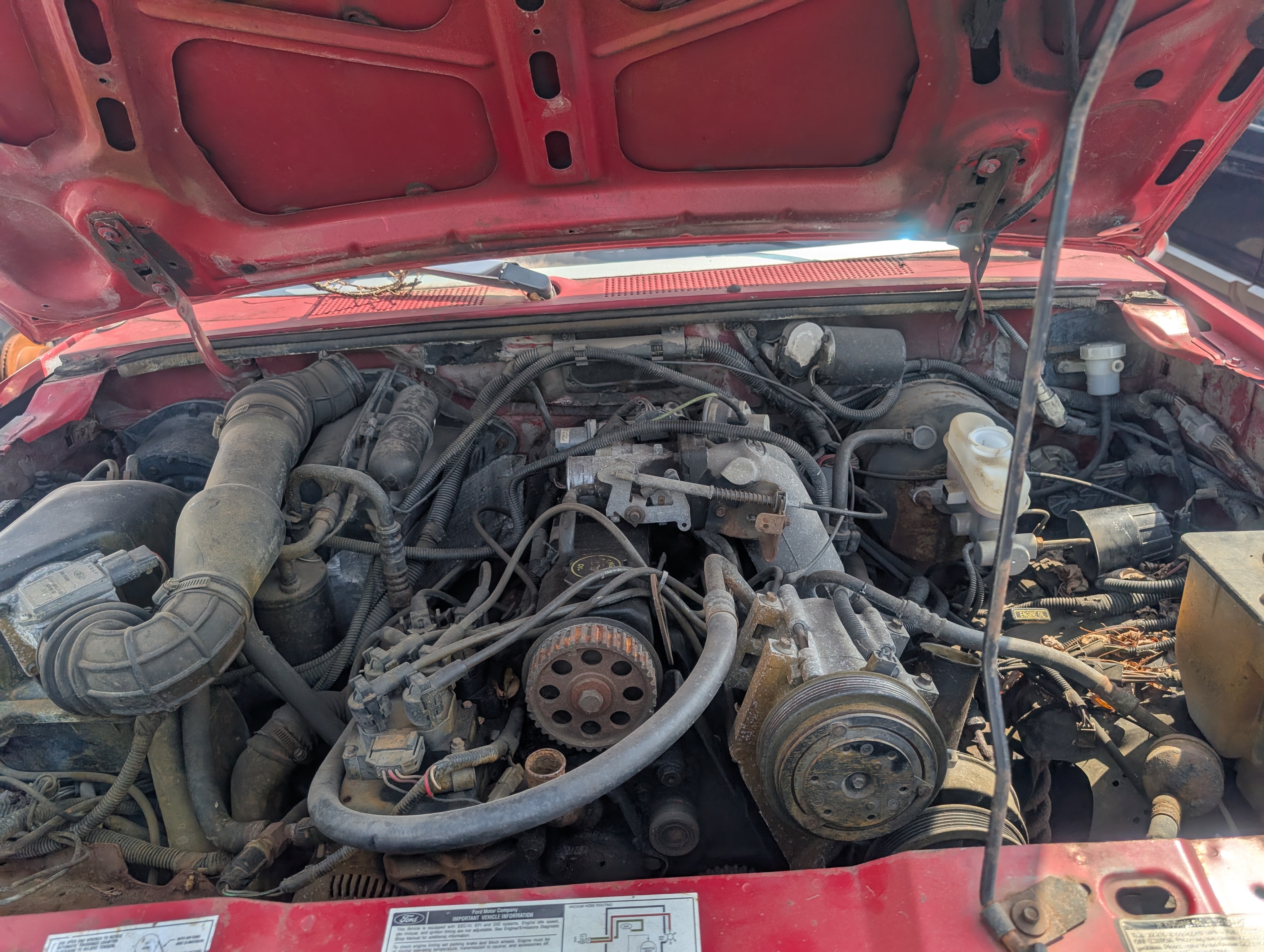 Detroit-area Junkyard Rangers - extremely pic-heavy