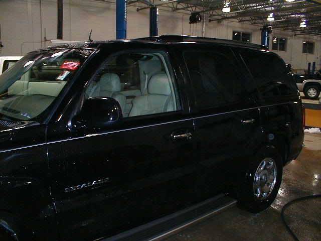 P1010005.jpg