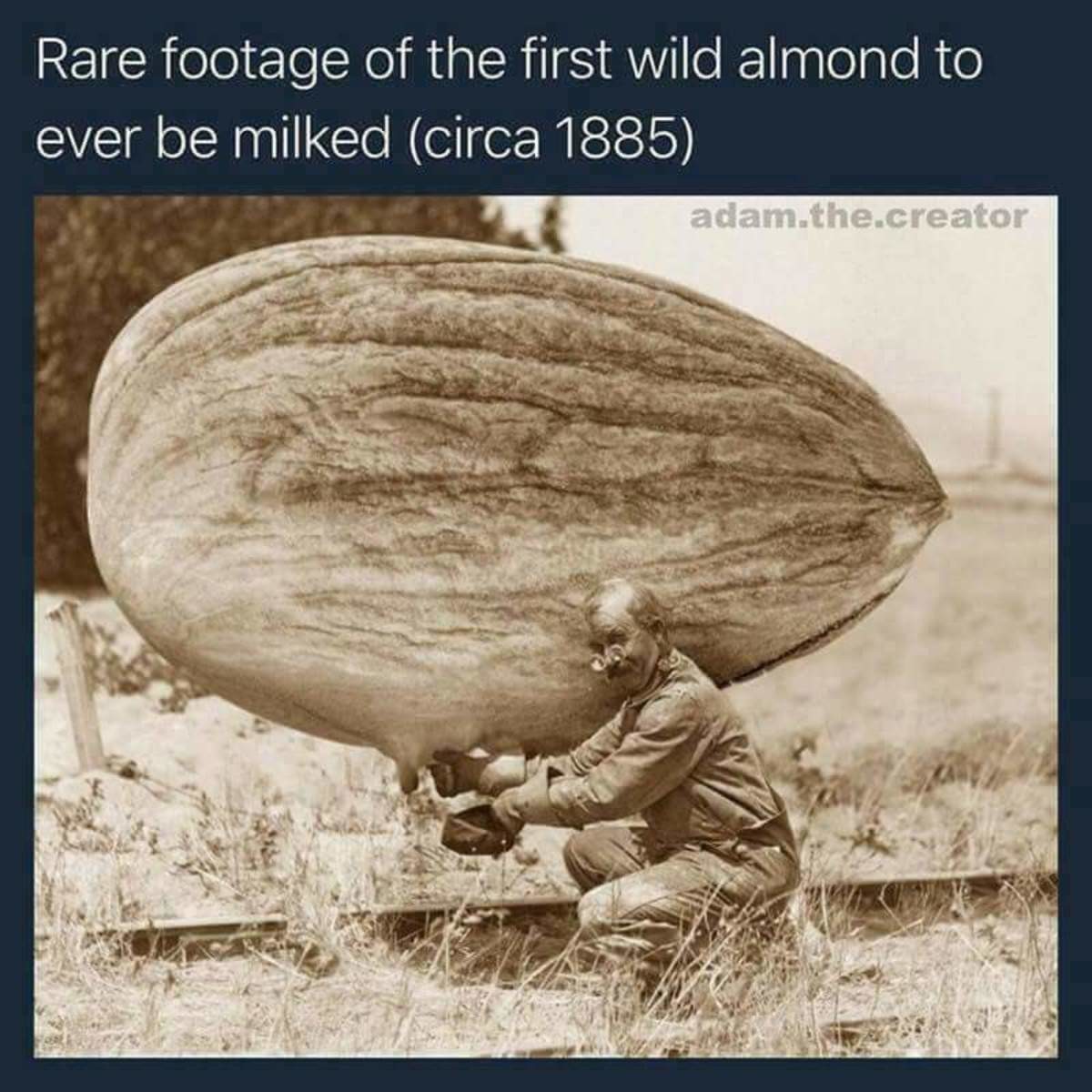 What's up newb morones?  Daddy is back so ask away younglings