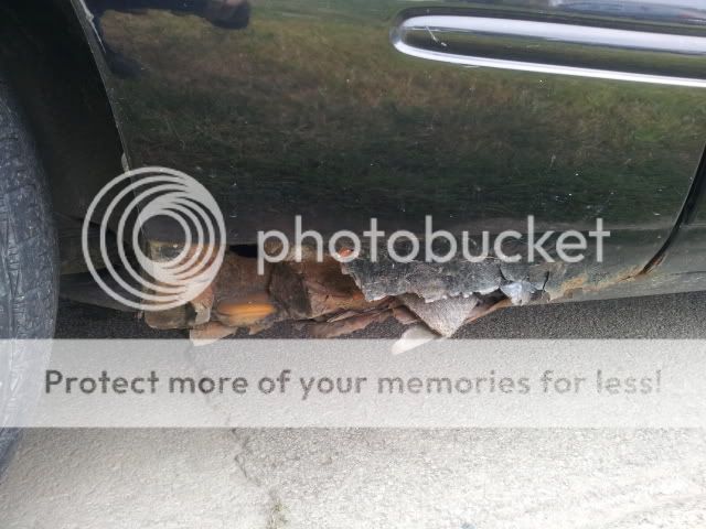 20130915_133434.jpg
