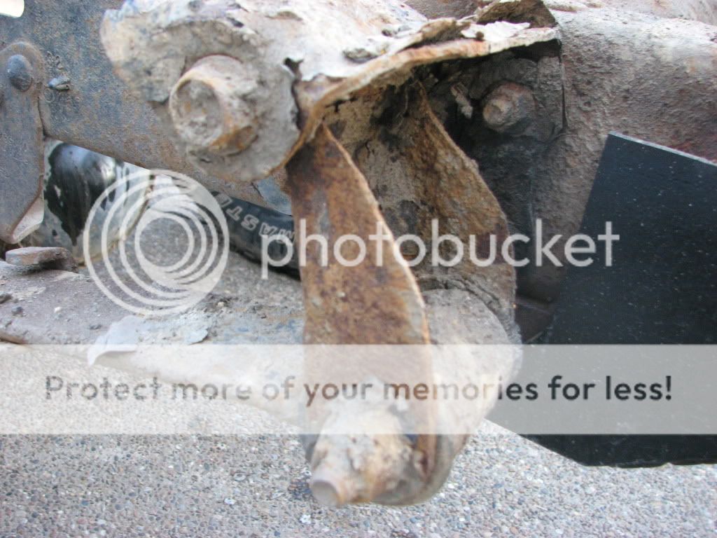 IMG_1192.jpg