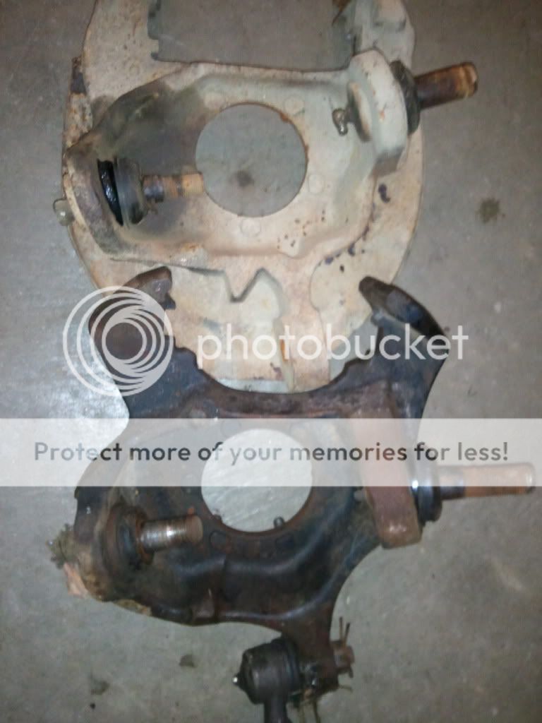 2011-01-31174702.jpg