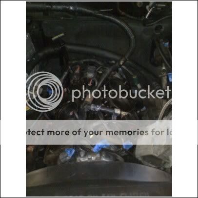 gasket4.jpg