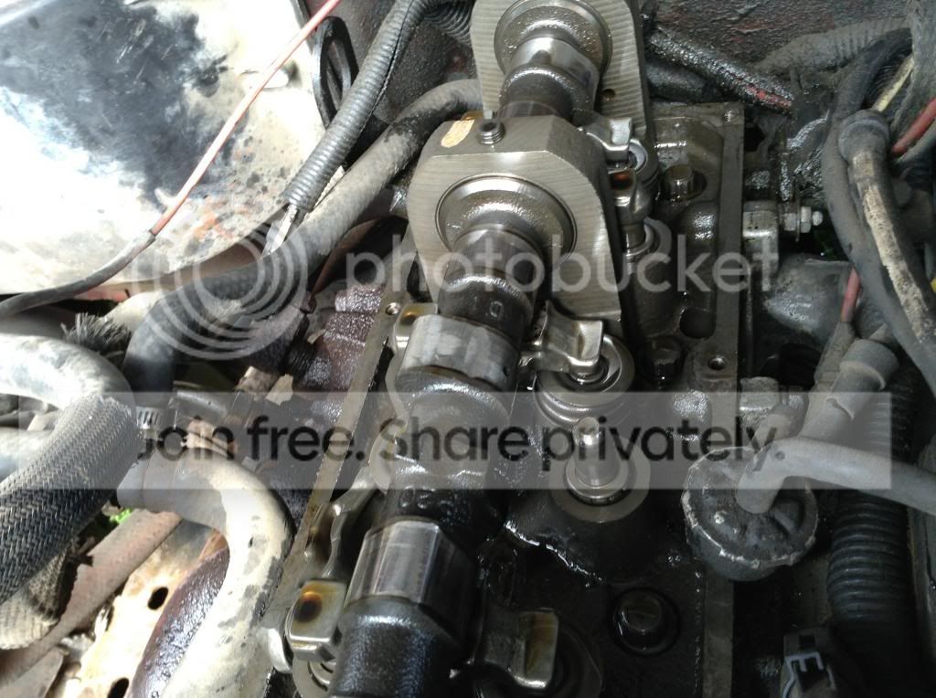 i think it's dead...